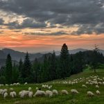 Pieniny atrakcje