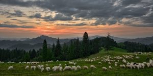Pieniny atrakcje